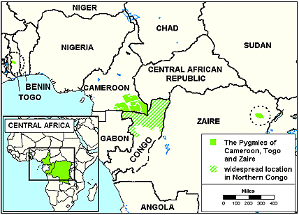 Pygmy, Baka in Gabon