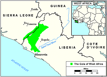 Gola in Sierra Leone