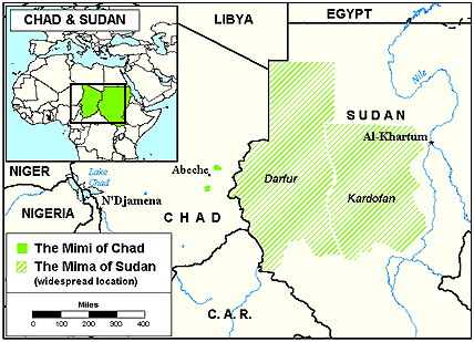 Mimi, Amdang in Chad