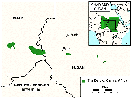 Daju, Dar Daju in Chad