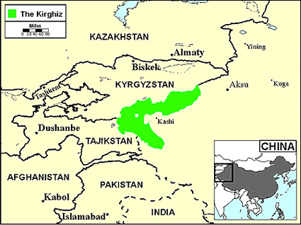 Kyrgyz in Germany