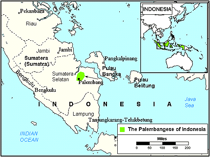 Palembang in Singapore