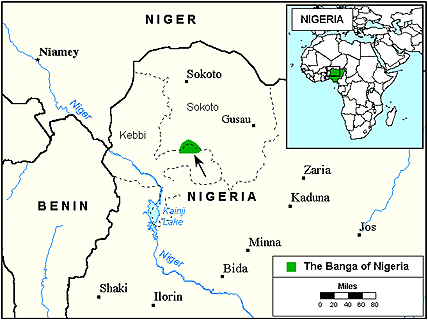 Banga in Nigeria