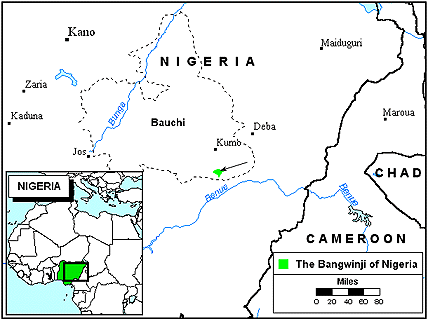 Bangwinji in Nigeria