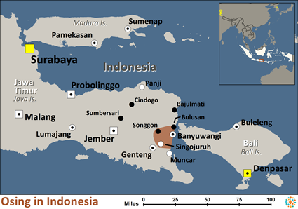 Map of Osing in Indonesia