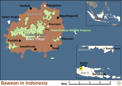 Map of Bawean in Indonesia