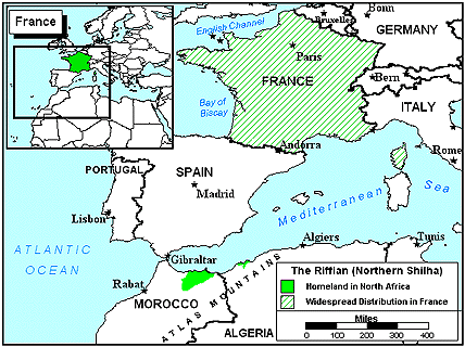 Berber, Rif in France