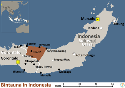 Map of Bintauna in Indonesia