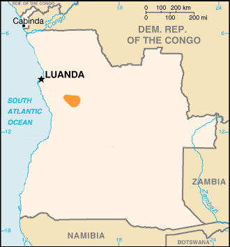 Bolo, Haka in Angola