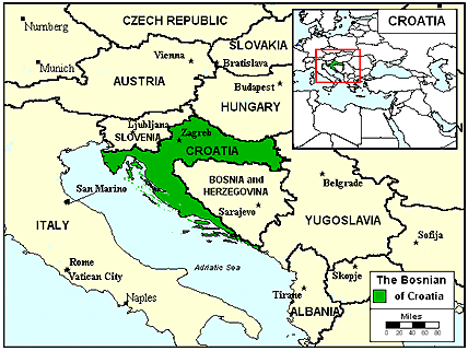 Bosniak in Croatia