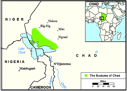 Buduma in Chad