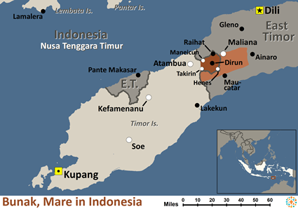 Map of Bunak, Mare in Indonesia