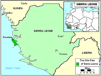 Fulani, Krio in Sierra Leone