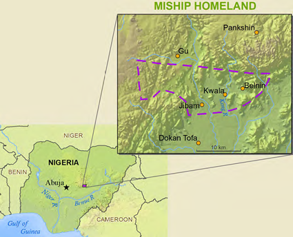 Map of Chip in Nigeria