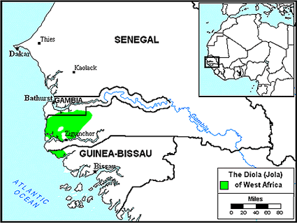 Jola-Fonyi in Mauritania