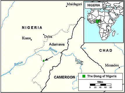 Dong in Nigeria