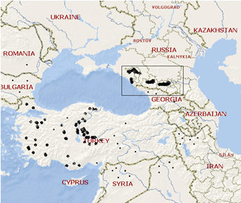 Kabardian in Germany