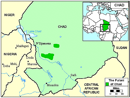 Fulani, Adamawa in Chad