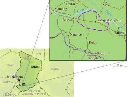 Gadang in Chad