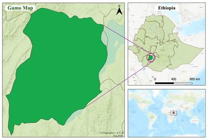Map of Gamo in Ethiopia
