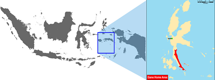 Map of Gane in Indonesia