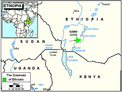 Gawwada, Ale in Ethiopia
