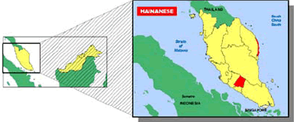 Han Chinese, Hainanese in Malaysia