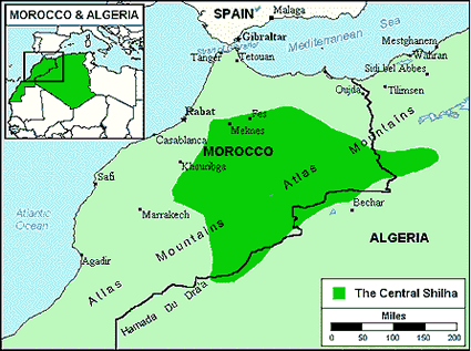 Berber, Tamazight in Algeria