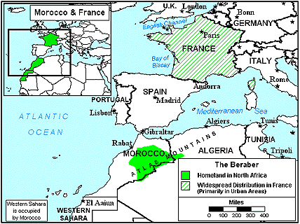 Berber, Tamazight in France