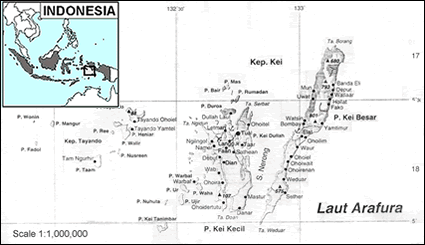 Map of Kei, Tanimbarese in Indonesia