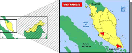 Vietnamese in Malaysia