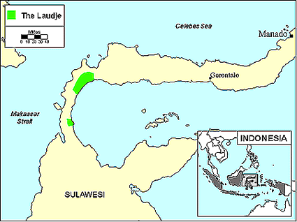 Laudje in Indonesia