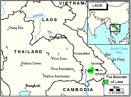 Laven in Laos