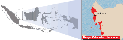 Dayak, Malayic in Indonesia