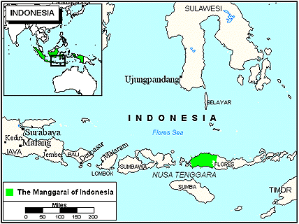 Manggarai in Indonesia