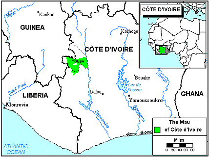 Mau in Côte d'Ivoire