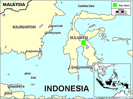 Mori Atas in Indonesia