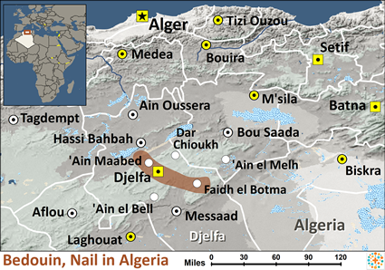 Map of Bedouin, Nail in Algeria