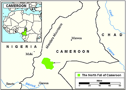 Fali, North in Cameroon