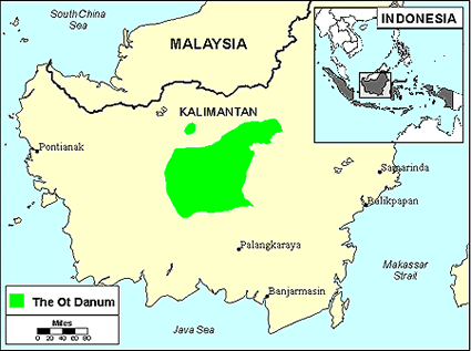 Dayak, Dohoi Ot Danum in Indonesia