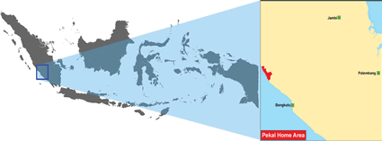 Map of Pekal in Indonesia