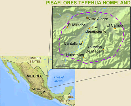 Map of Tepehua, Pisa Flores in Mexico