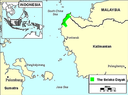 Dayak, Kendayan in Indonesia