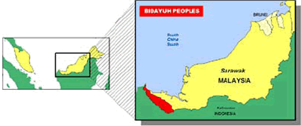 Dayak, Kendayan in Malaysia