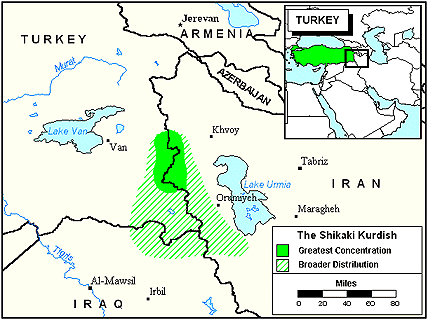 Shikaki in Türkiye (Turkey)