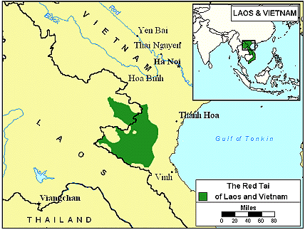Tai Daeng in Laos