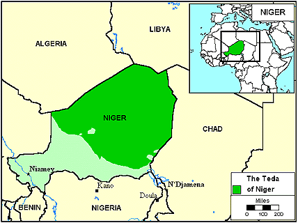 Tubu, Teda in Niger