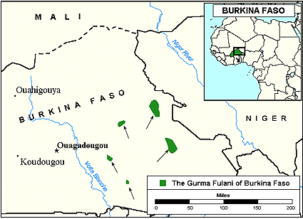 Fulani, Western in Burkina Faso