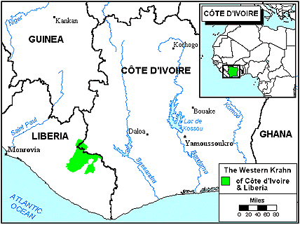 Krahn, Western in Côte d'Ivoire