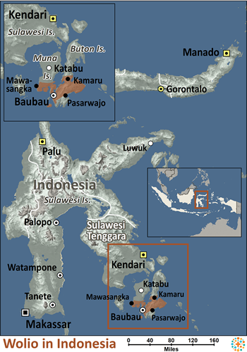 Map of Wolio in Indonesia